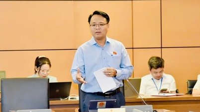 당홍시 씨는 빈투언성 국회 대표단 단장입니다.