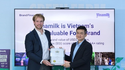ហិរញ្ញវត្ថុម៉ាក៖ យីហោ Vinamilk រីកចម្រើនយ៉ាងខ្លាំងបន្ទាប់ពីផ្លាស់ប្តូរអត្តសញ្ញាណ