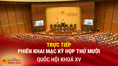 報告：第15期国会第10会期開会