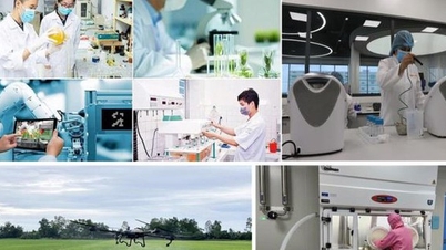 Hanoi udoskonala instytucje rozwoju nauki i technologii w związku z Ustawą o stolicy