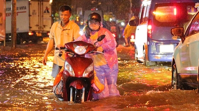 Experts suggest turning parks and squares into reservoirs to prevent flooding
