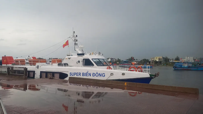 Penghentian sementara keberangkatan kapal pada rute Sa Ky - Ly Son karena badai Fengshen