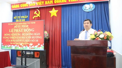 Sở Tư pháp phát động quyên góp, ủng hộ đồng bào vùng bị ảnh hưởng bởi thiên tai do bão số 9 và bão số 10