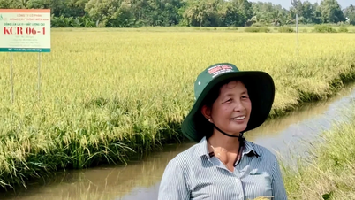 The woman behind Vietnam's billion-dollar rice variety