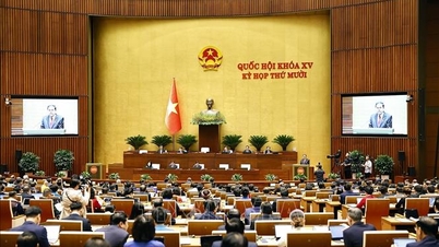 제15대 국회 제10차 정기국회 개회