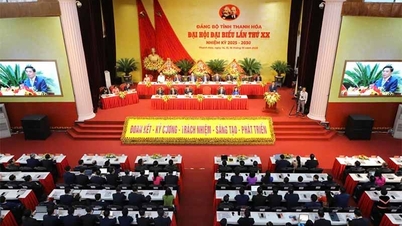 2025년부터 2030년까지의 제20차 탄호아성 당위원회 대회는 큰 성공을 거두었습니다.