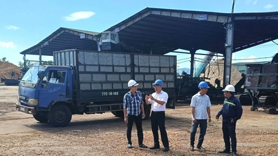 Communes and wards in Gia Lai promote investment attraction
