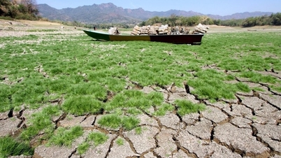 Precisamos tomar medidas decisivas para responder às mudanças climáticas antes que seja tarde demais.