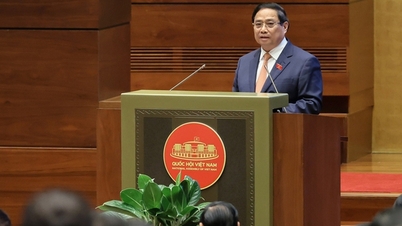 Các lĩnh vực văn hóa, xã hội có bước tiến bộ cả về nhận thức, hành động và kết quả; Công nghiệp văn hóa, giải trí đang trên đà phát triển