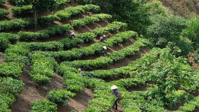 Opening the way to bring highland agricultural products to market