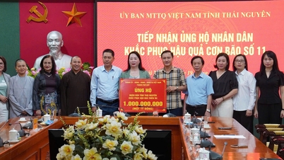 Hỗ trợ 4 tỷ đồng giúp đồng bào các tỉnh phía Bắc khắc phục hậu quả bão lũ