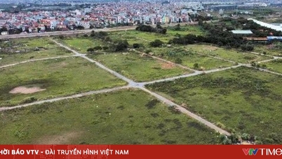 도 병합 시 토지 분할 규정
