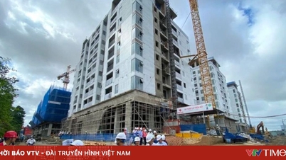 يزدهر الإسكان الاجتماعي بفضل النهج المحلي المرن