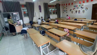 학교에서 썩은 고기와 계란이 발견됐다: 부모들이 아이들을 집에 두었다