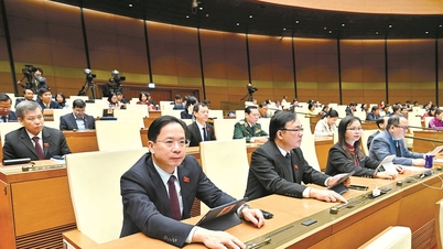 Q&A 19질문: 지방자치단체의 인민위원회에서 선출한 직위에 대한 해임 및 파면은 어떻게 이루어집니까?