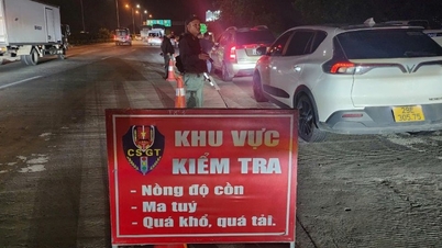 전국적으로 알코올 농도 위반 단속을 위한 캠페인을 동시에 실시합니다.
