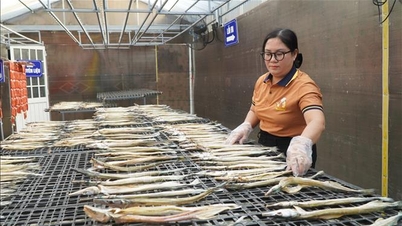 Las mujeres de la zona fronteriza de Dong Thap inician un negocio con 'recursos locales'