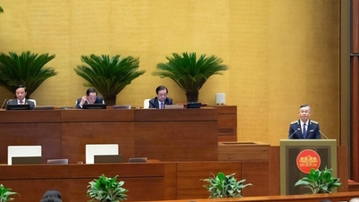 州監査局は多くのファイルを捜査機関に移管した。