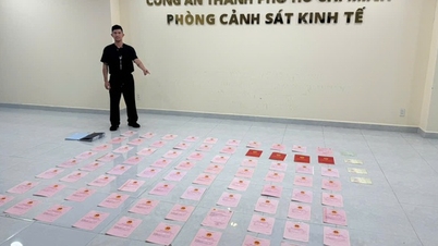 How will the 80 red books and assets of Ngan 98 be handled?