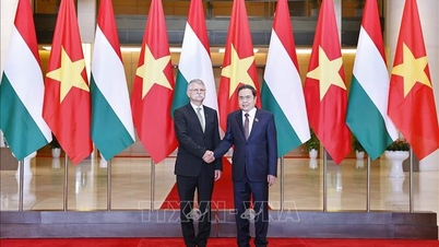 Vietnam y Hungría promueven el fortalecimiento de la confianza política y la ampliación de la cooperación bilateral