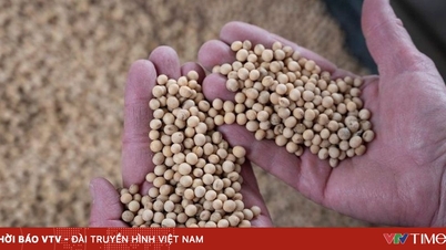 Voor het eerst in zeven jaar importeerde China geen sojabonen uit de VS.