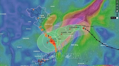 Badai No. 12 diperkirakan akan menerjang daratan dari Da Nang hingga Quang Ngai, sirkulasi badai akan menyebabkan hujan lebat dan banjir yang meluas.