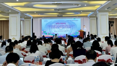 ពលករវៀតណាមជាង 10,000 នាក់ធ្វើការតាមរដូវនៅប្រទេសកូរ៉េក្រោមកិច្ចសហប្រតិបត្តិការក្នុងស្រុក
