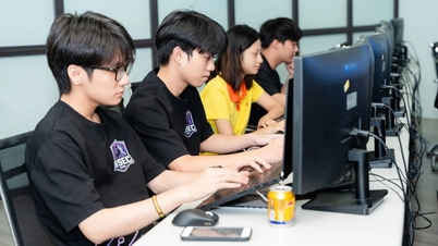 Vietnam bezet alle 10 de topposities in de ranglijst van cyberbeveiligingscompetities