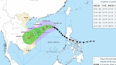 Storm No. 12's circulation causes widespread heavy rain from Ha Tinh to Quang Ngai.