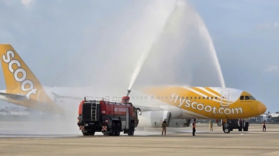 Aumentar a frequência total de voos diretos Cingapura - Da Nang para 24 voos/semana