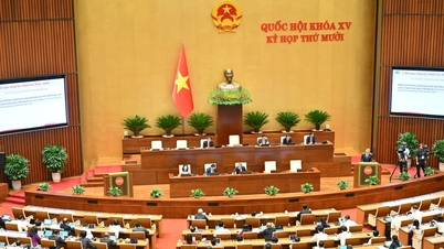 보도자료 제01호, 제15대 국회 제10차 회기