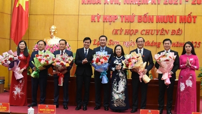 Comrade Nguyen Canh Toan was elected to hold the position of Chairman of Lang Son Provincial People's Committee, term 2021 - 2026