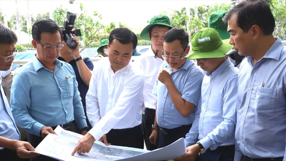 Ho Chi Minh City speeds up urban renovation of residential areas on and along canals