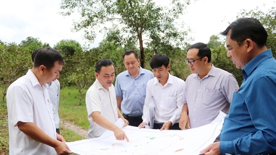 O vice-presidente do Comitê Popular Provincial, Le Truong Son, inspecionou o projeto de turismo na comuna de Dinh Quan.