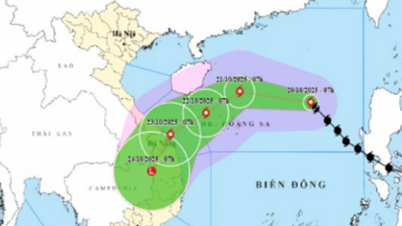 暴風雨第12号への対応策を緊急展開