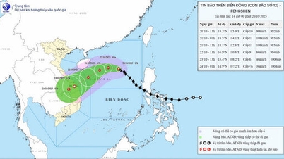 嵐12号が強まり、突風はレベル12に達し、ホアンサ特別地域から約460km離れた