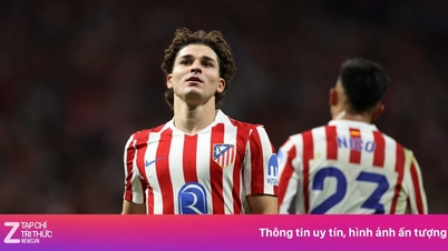 أتلتيكو يعرض سعرًا لا يصدق لألفاريز