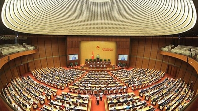 第14回全国党大会に提出される文書草案におけるいくつかの新たな重要な問題