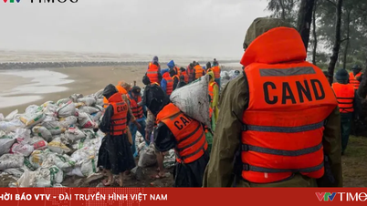 Perdana Menteri meminta untuk secara proaktif menerapkan tindakan untuk menanggapi badai No. 12 dan banjir.