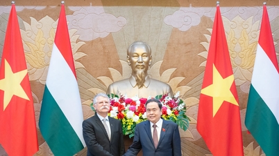 Renforcer la confiance politique comme base pour promouvoir et élargir la coopération entre le Vietnam et la Hongrie dans tous les domaines