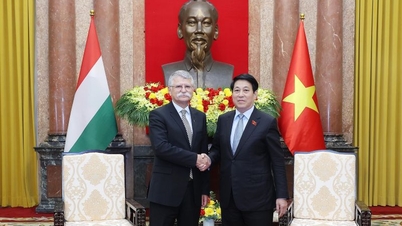 Prezident Luong Cuong přijal předsedu maďarského Národního shromáždění