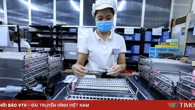 مینوفیکچرنگ اور پروسیسنگ میں اعلیٰ معیار کی ایف ڈی آئی کی کشش کو تیز کرنا