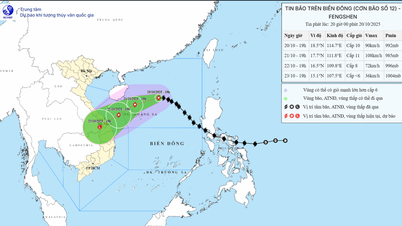 A tempestade nº 12 muda continuamente de direção, indo em direção à área marítima do norte da zona especial de Hoang Sa.