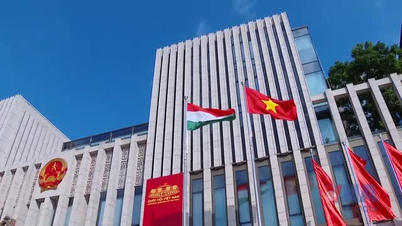 ویتنام اور ہنگری کے درمیان پارلیمانی تعاون کو مضبوط بنانا