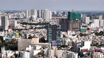 住宅・不動産市場に関する中央指導委員会の運営に関する規則