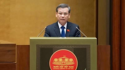 Chief Justice Le Minh Tri: There are still some judgments and decisions that have been revised.
