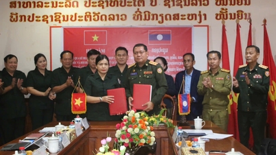 Ban chỉ đạo tìm kiếm, quy tập hài cốt liệt sĩ tỉnh làm việc tại tỉnh Attapu, Lào