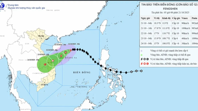 今日、10月21日、嵐12号は方向を変えた