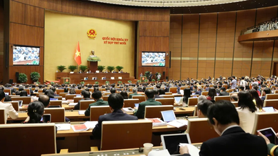 Förderung der bahnbrechenden „Spezialität“ von Ho-Chi-Minh-Stadt