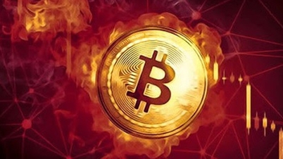 سوق العملات الرقمية اليوم 19 أكتوبر: شركة بها موظفان فقط تريد المشاركة في الأصول الرقمية